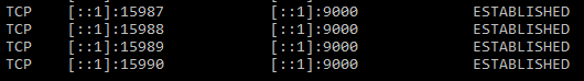 Netstat showing established sockets