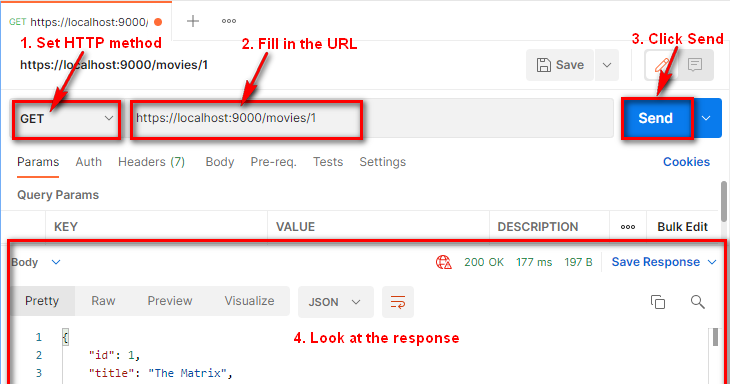 Postman Use Global Variable In Json Body